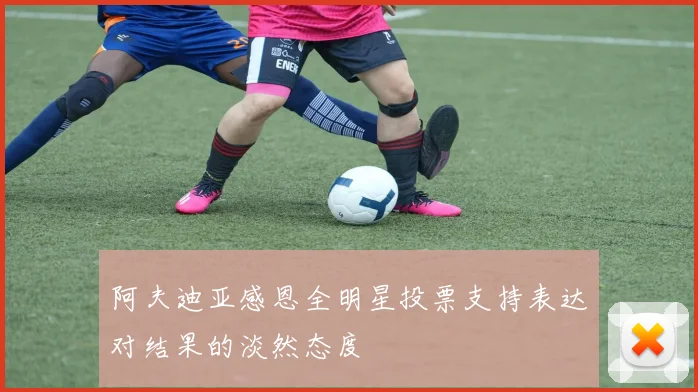 阿夫迪亚感恩全明星投票支持表达对结果的淡然态度