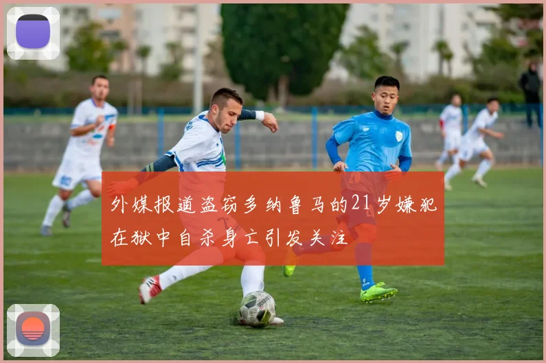 外媒报道盗窃多纳鲁马的21岁嫌犯在狱中自杀身亡引发关注
