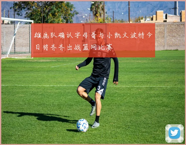 雄鹿队确认字母哥与小凯文波特今日将齐齐出战篮网比赛