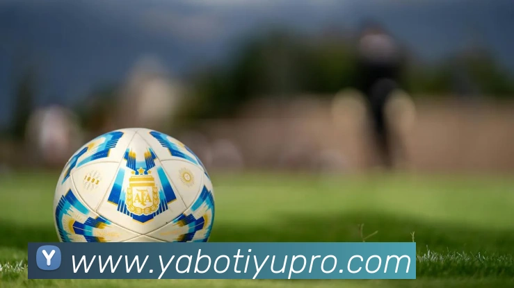 亚博体育APP 封面图