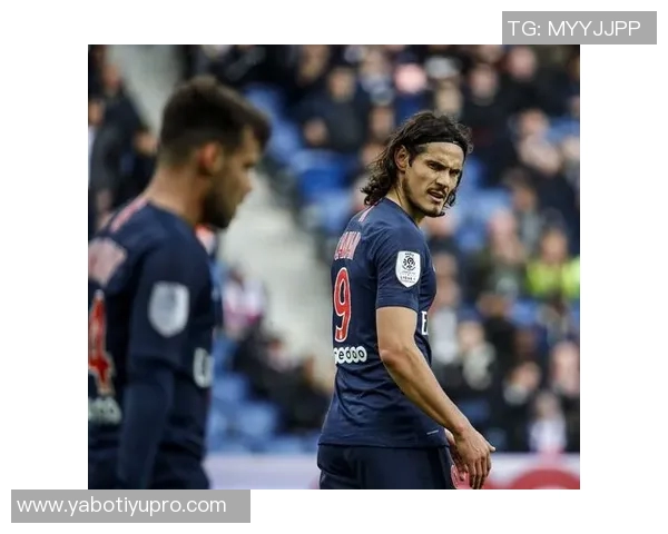 本菲卡计划冬窗出售施耶尔德鲁普目标转会费2500万欧元